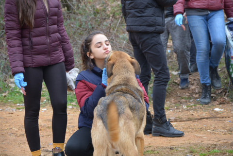 MUHAK Ormandaki Köpekleri Besledi